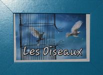 Chambre Les Oiseaux au premier étage